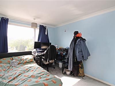 Picture 12